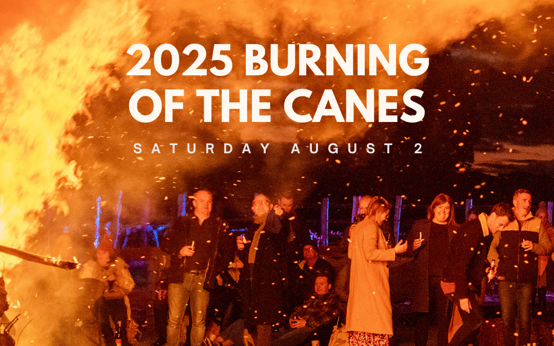 Burning of the Canes